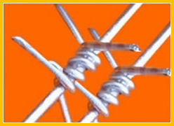 ɴ